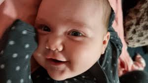 See who was crowned the Chinchilla's Cutest 2021 Baby