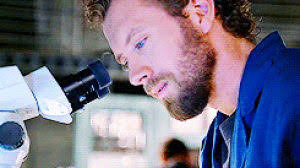 Hodgins dr hodgins bones GIF