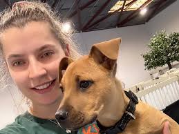 Kip West Hindmarsh Doggy Daycare for Adelaide Dogs