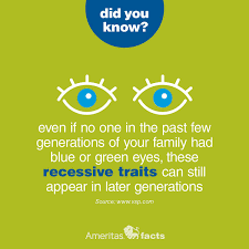 Vision Facts Eyes Eye Care Eye Facts Facts