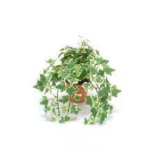 The large leaves of this artificial hanging english ivy adds to the height of its draped greenery. Artificial Ivy Hanging Plant Maja In Clay Pot Green White 8 20cm