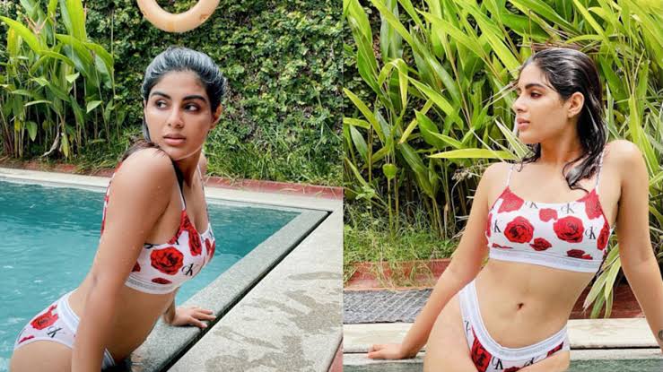 images?q=tbn:ANd9GcTwOMEt_yVkSNauGpY7o7F