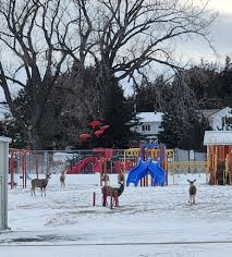 We have some new staff hired...