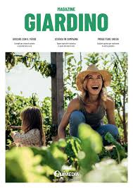Fioriere con piante grasse decorate con cusci di frutti di mare. Quimedia Magazine Giardino 2021 By Suedtirolonline Issuu