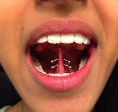 Pin On Peircings