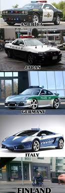 Daniel Pinhasov (dpinhasov)