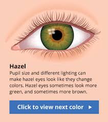 The Human Eye Color Chart In 2019 Eye Color Chart Hazel