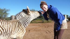 Aufrufe 576 tsd.vor 3 years. Paula Und Die Wilden Tiere Eine Herde Fur Zebra Benny Anna Paula Pia Und Die Wilden Tiere Wilde Natur Schauen Br Kinder Eure Startseite