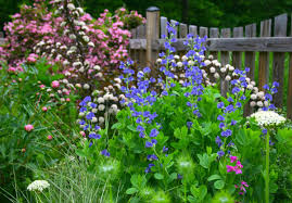 Wendy S Garden In Virginia Day 2 Finegardening Landscaping Images Fine Gardening Garden Inspiration