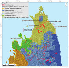 Image result for Crotalaria longithyrsa