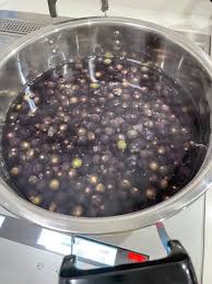 ハックルベリー – ムネカタテック株式会社