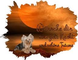 Hunde schlafen hunde welpen süße hundewelpen zum lachen bringen französische bulldogge lustige hunde hunde bilder süße tiere plakat. 3c Gew62 Gute Nacht Schlaf Gut Traum Suss Dreamies De