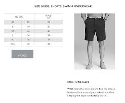 Lacoste Green Mens Size Large L Board Surf Swimwear Trunks Shorts 061