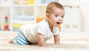 Wann beginnen babys zu krabbeln? Krabbeln Bebivita