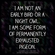 I Am A Permanently Exhausted Pigeon Funny Quotes Quotes Make Me Laugh