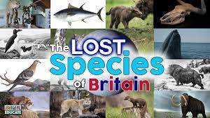 Maybe you would like to learn more about one of these? The Lost Species Of Britain Extinct Animals In The Uk Youtube