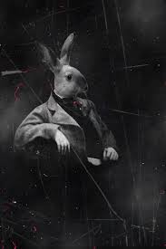 Mr Rabbit By Manonmorel On Deviantart Bunny Art Animal Art Art
