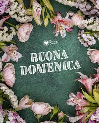 Trovare il fiore più adatto a seconda del destinatario è una specie di arte che. Immagini Di Buona Domenica Gratis Per Whatsapp E Facebook