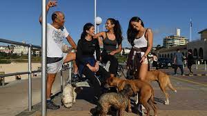 Charles teo am is an australian neurosurgeon. From The Archives 2007 What Drove Charlie Teo The Country S Most Controversial Brain Surgeon