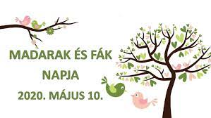 Contact madarak és fák napja on messenger. Fotopalyazat A Madarak Es Fak Napja Alkalmabol Hevesi Hirportal
