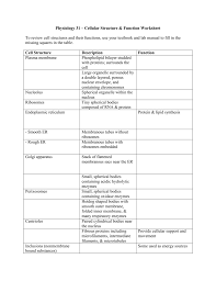 cell worksheet tissue chart