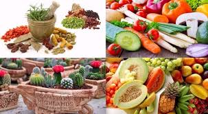 Maybe you would like to learn more about one of these? Tanaman Hortikultura Pengertian Manfaat Ciri Jenis Perbedaan