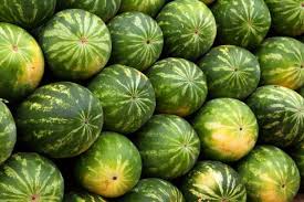 Jika ada sedang mencari gambar buah semangka hitam putih untuk diwarnai. 2 Cara Mudah Buat Masker Dari Kulit Semangka Buat Kulit Cerah Ala Remaja Korea Pikiran Rakyat Com