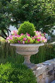 Beautiful Boxwood And Petunia Planter Gardens Click Container Garden Design Beautiful Gardens Container Gardening