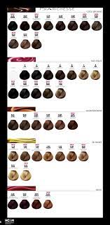 L Oreal Professionnel Dia Richesse Color Chart August 2014 Hair Color Chart Loreal Hair Color Chart Loreal Hair Color
