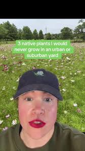 Invasive Plants New Hampshire