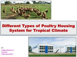 His brushwork is impeccable and we think he is to be collected now before his prices skyrocket and galleries, collectors and museums take notice, which they are sure to do. Pdf Different Types Of Poultry Housing System For Tropical Climate