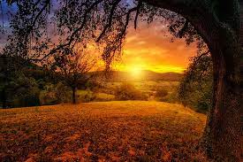 We did not find results for: La Luz Del Amanecer Y Del Atardecer Iluminacionfotografica Net