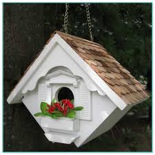 Woodwork birdhouse plans cardinals pdf plans. Cardinal Birdhouse Plans Free 2 Home Improvement