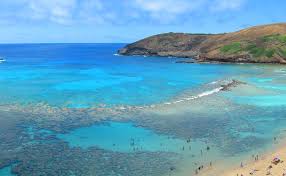 Hotels near hanauma bay nature preserve. Hanauma Bay Oahu Island Hawaii Living In Hawaii Moving To Oahu Maui Kauai Big Island