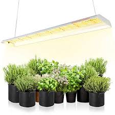 The gavita pro 1700e has been the best selling led light of 2020 and maybe 2021. Top 10 Light For Hydroponics Of 2021 Best Reviews Guide