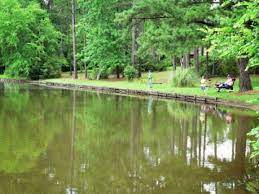 Find the best campgrounds & rv parks near jekyll island, georgia. Lake Pines Rv Park Campground Since 1966