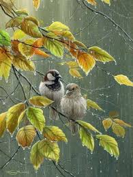 Pin By Rana D On Bird Paintings Rain Art Beautiful Birds Wildlife Artists