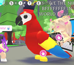 Adopt Me Parrot Roblox Pictures Roblox Adoption