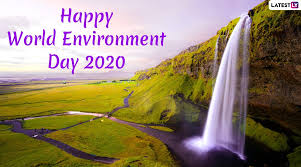 It should be celebrated yearly. World Environment Day 2021 Date Theme Quotes On Nature Know Previous Wed Themes History Significance And Celebrations Associated With This International Event