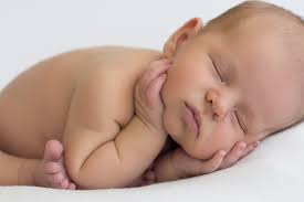 Lauren McConihay Photography