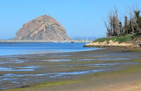 See more ideas about beach, states, local parks. Morro Bay State Park Morro Bay Ca California Beaches