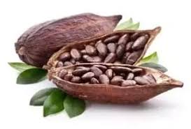 The stimulant effects of caffeine are known generally, but if you'd like to read more about the pharmacology this is a good review. Does Raw Cacao Contain Caffeine Quora