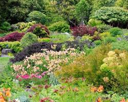 Image of Mendocino Coast Botanical Garden