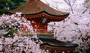 Zerochan has 622 yae sakura (houkai gakuen) anime images, wallpapers, hd wallpapers, android/iphone wallpapers, fanart, cosplay pictures, facebook covers, and many more in its gallery. Cherry Blossom Season In Japan Japan Tours Luxury Travel