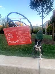 Keeping Furry Tenants Comfortable