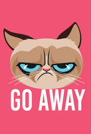 Grumpy Cat On Twitter Grumpy Cat Art Cat Drawing Grumpy Cat Humor