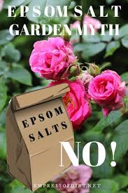 Adding magnesium to the ground can help plants grow better if many gardeners believe that using epsom salt in the garden helps plants grow greener leaves. Are Epsom Salts Good For Plants Or A Garden Myth Empress Of Dirt Epsom Salt Garden Epsom Salt For Plants Epsom Salt Magnesium