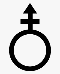 We did not find results for: Rising Flames Wikia Non Binary Symbol Transparent Hd Png Download Kindpng