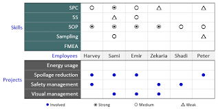 Matrix Diagram Continuous Improvement Toolkit