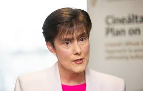 Cineáltas: Anti-bullying strategy will see rollout of counselling in  primary schools